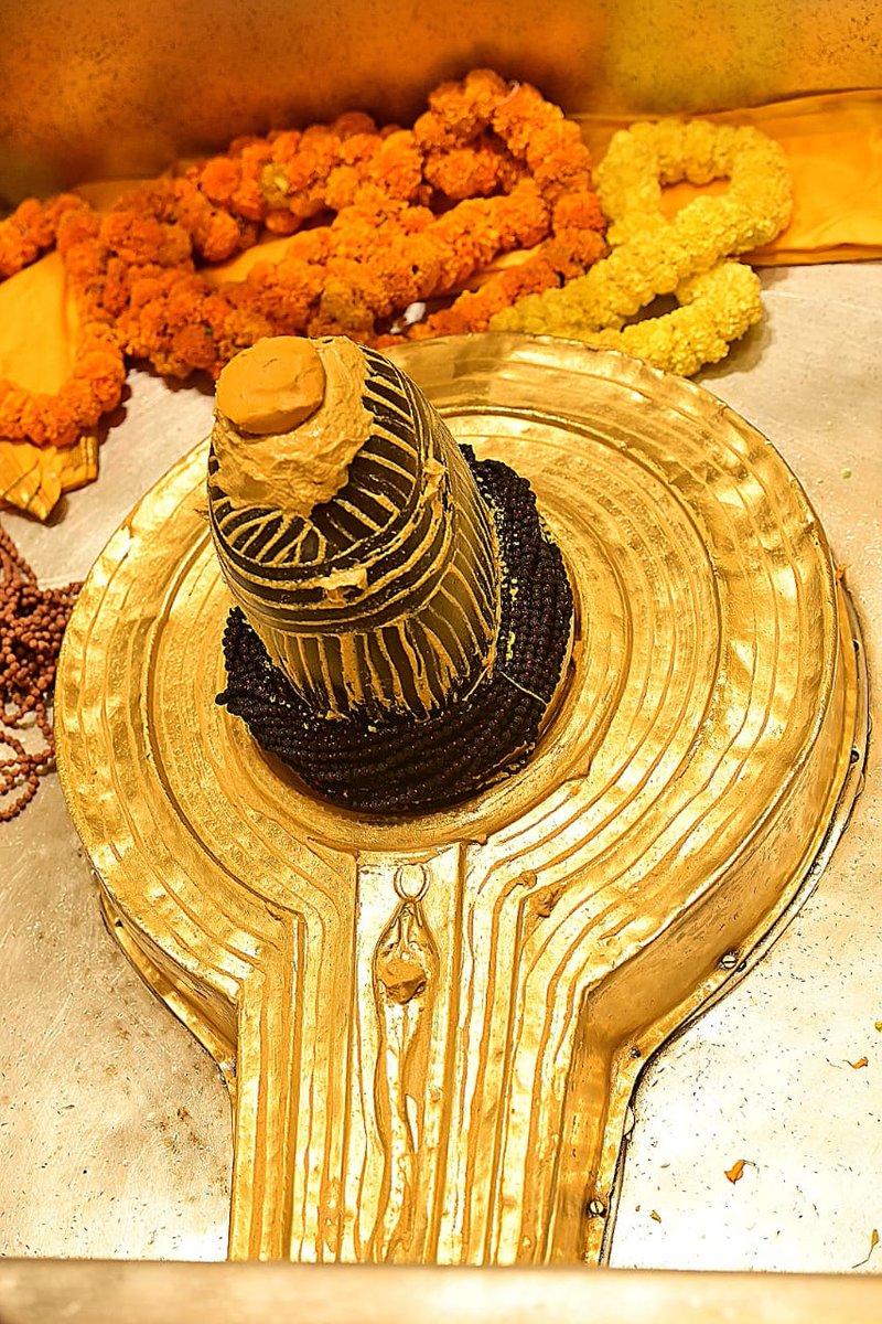 Shri Kashi Vishwanath Temple Trust tweet media