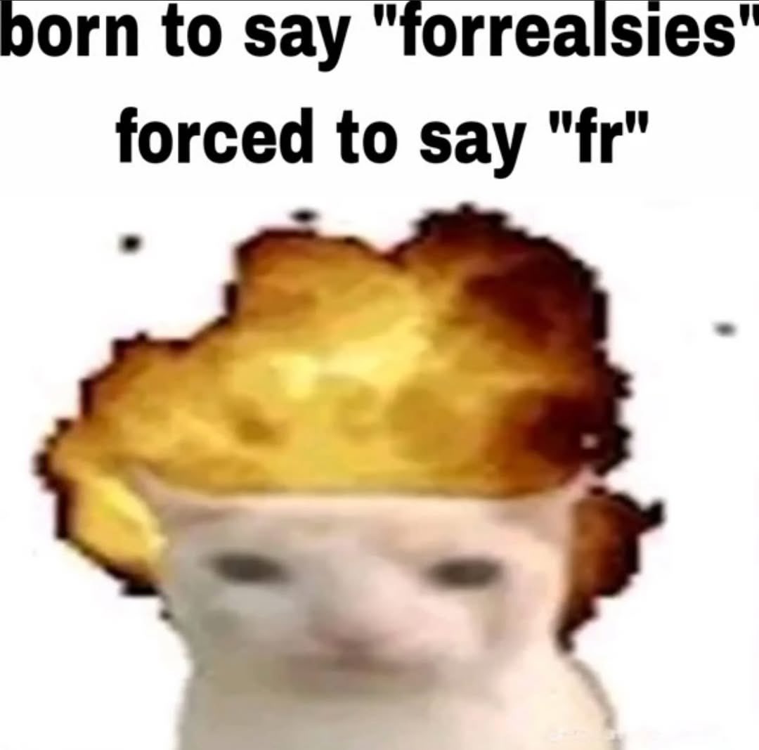 LiterallyMeCats tweet media