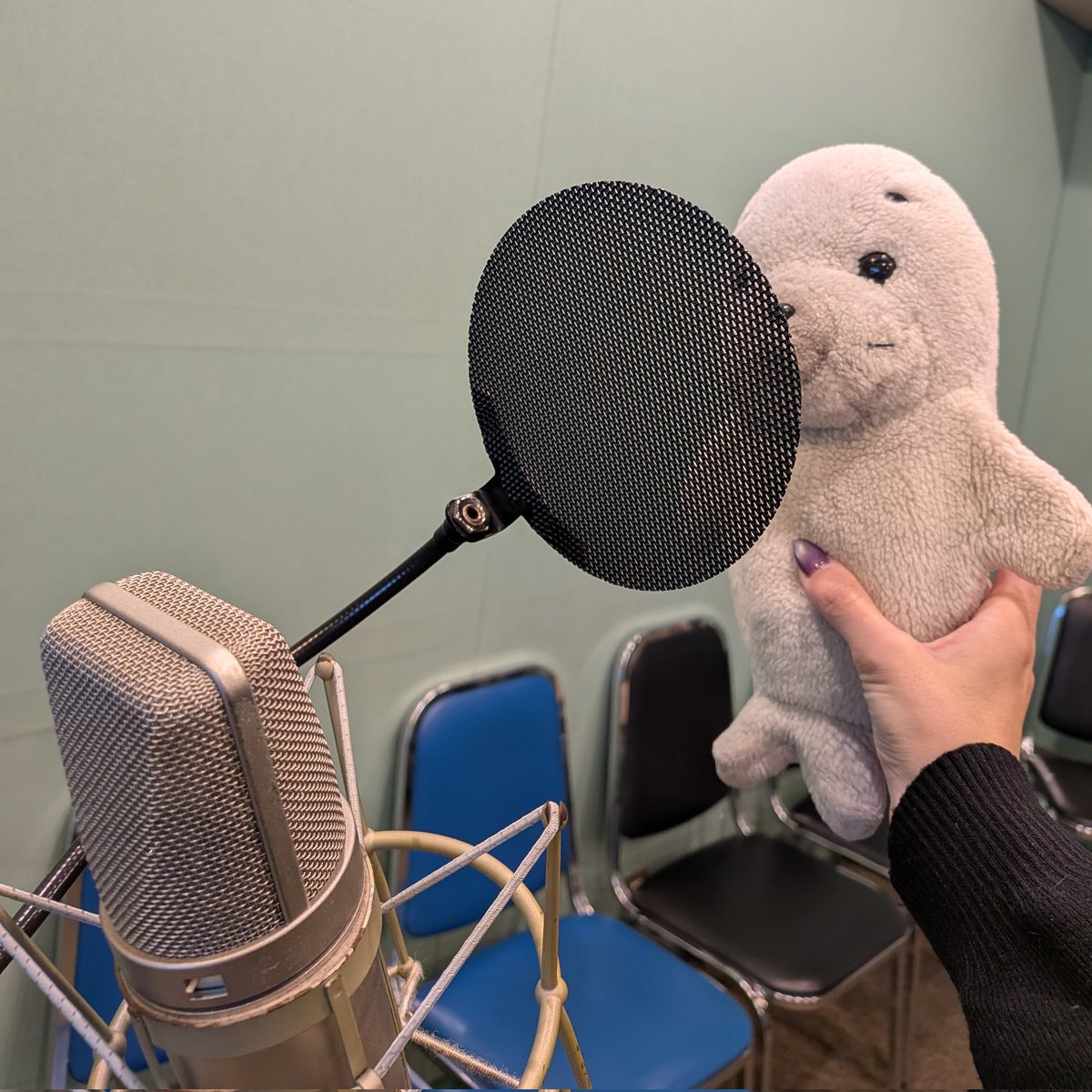 我が家のゴマちゃん、社会見学をするの巻。 見逃し配信もどうぞ