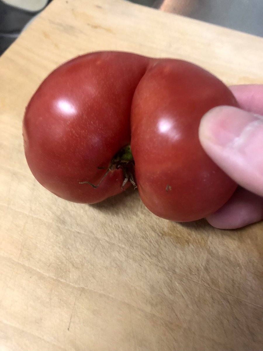 sikoru0311's tweet photo. ト マ ト か な ？

ケ ツ で し ょ 。

🍅🍑 https://t.co/lWQcUYKf8z
