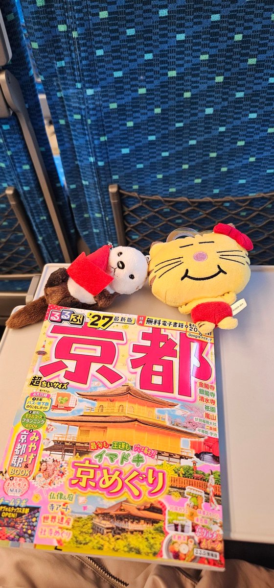たまご💛💚💜 tweet media
