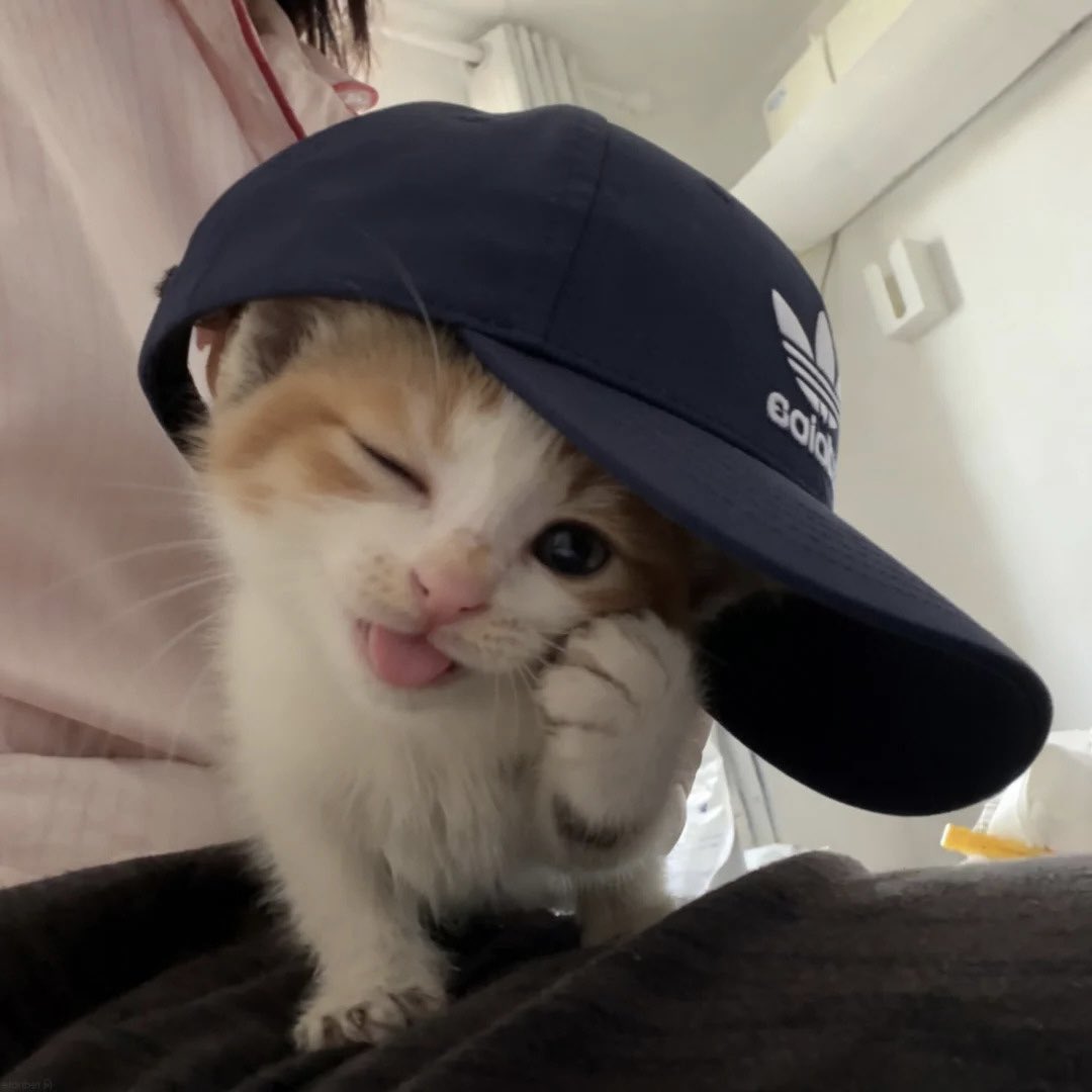 wingyun tweet media
