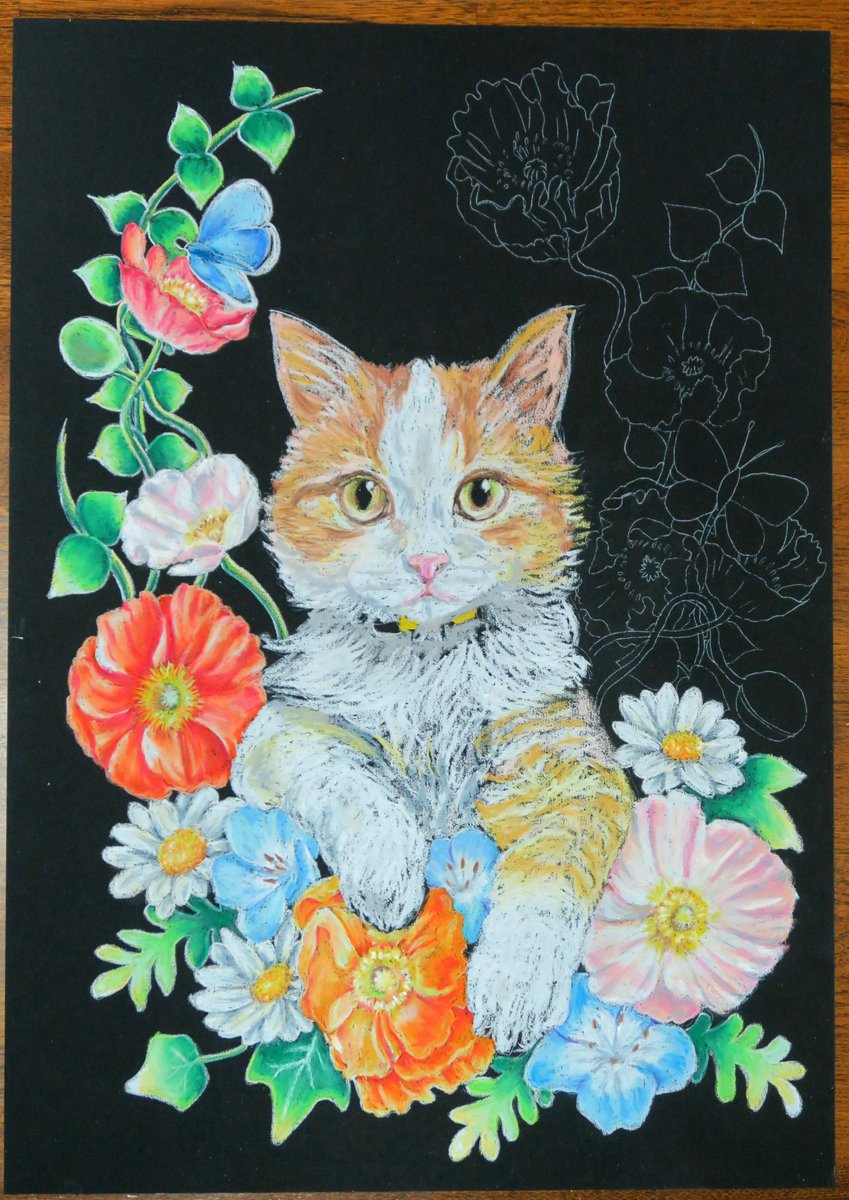 藤原美保子🐱オーダー受付中🐈パステルペット肖像画・チョークアート
