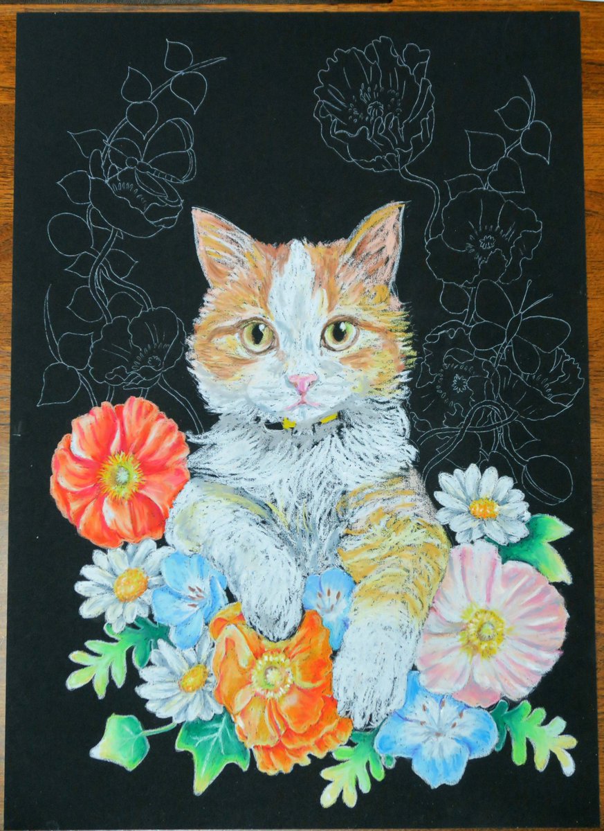 藤原美保子🐱オーダー受付中🐈パステルペット肖像画・チョークアート