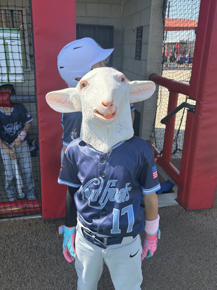 Yard Goat Baseball tweet media