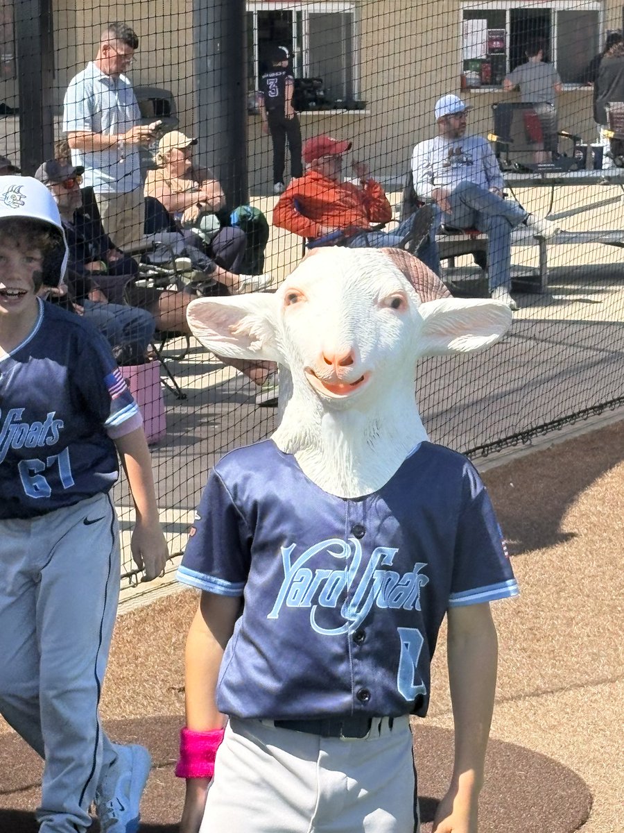 Yard Goat Baseball tweet media