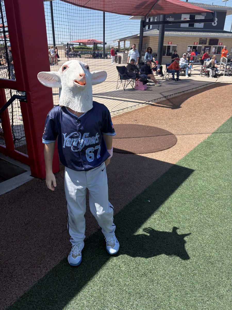 Yard Goat Baseball tweet media