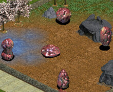 Zoo Tycoon Posts tweet media