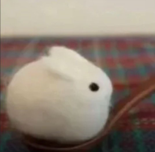 FACE REVEAL