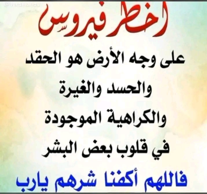 علي الاشلم tweet media
