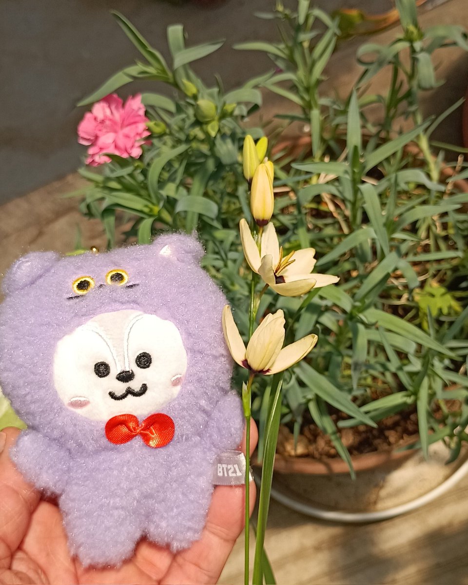 해바라기♪🐿✨💚ミ tweet media