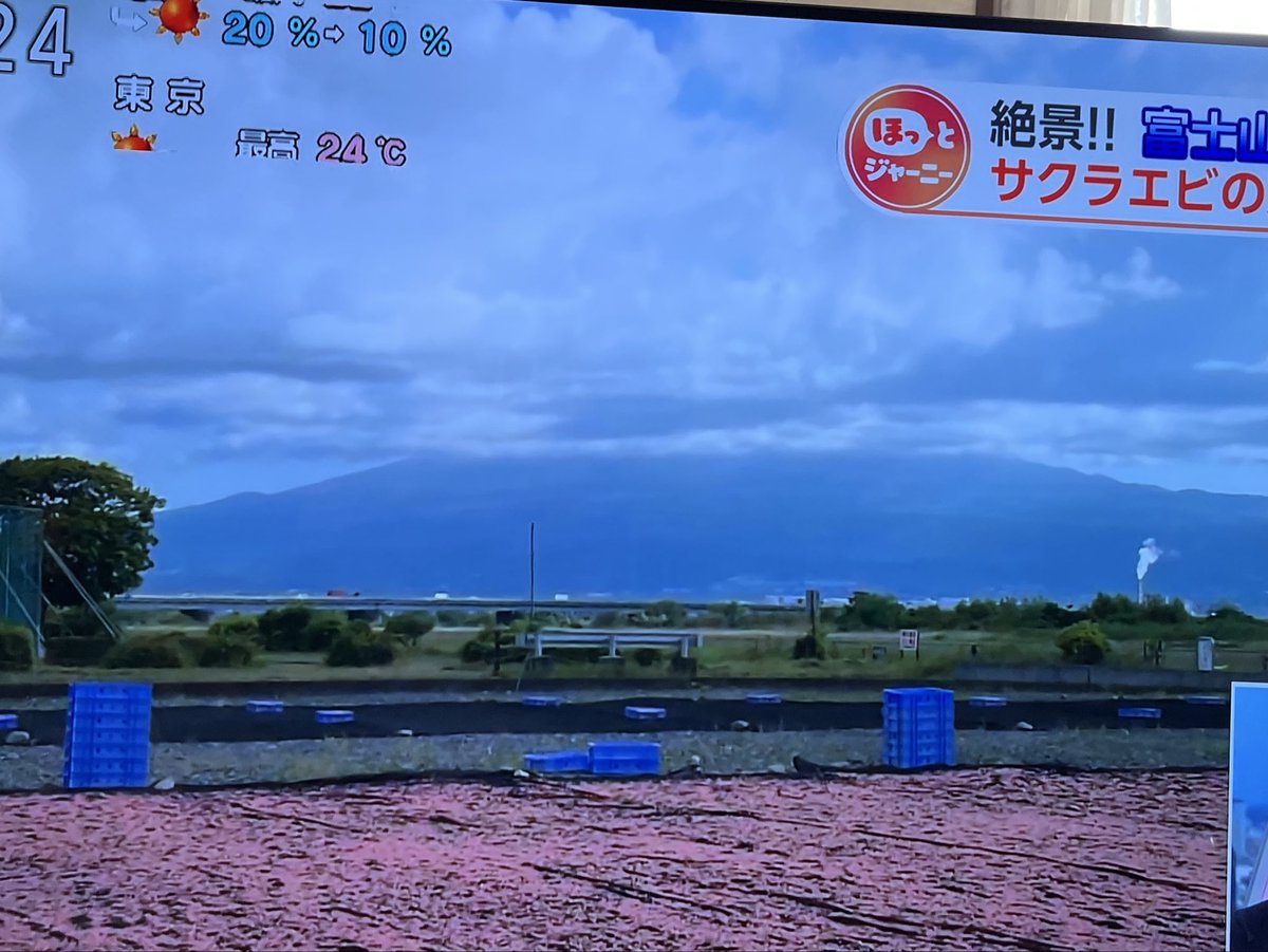 mayuzou まゆぞう tweet media
