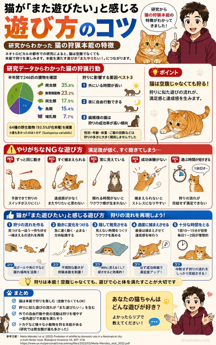 😿その遊び方で大丈夫？🐈

猫じゃらしを目の前で振るだけになっていませんか？

実は「隠れる→追う→捕まえる」の流れがあるほど満足します⚠️

「また遊びたい」と感じる方法をまとめました📚
あとで試せるよう保存しておくのがおすすめです✨

あなたの猫ちゃんはどんな遊び方が好きですか？😺