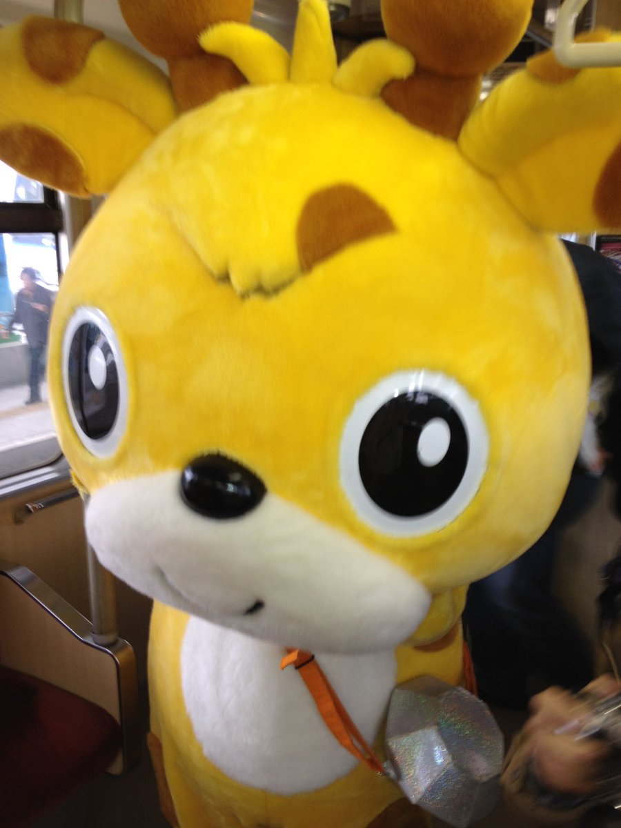いしきりん tweet media