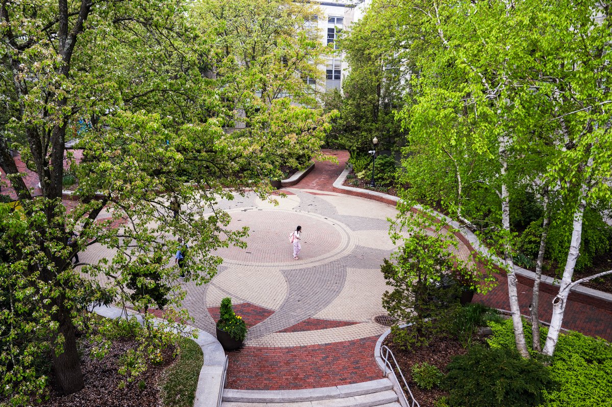 Northeastern University tweet media