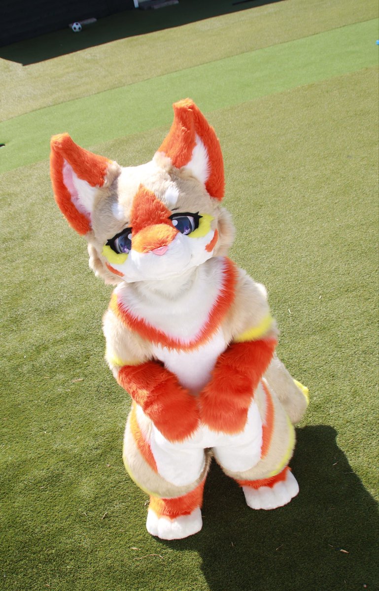 小さい狐🦊