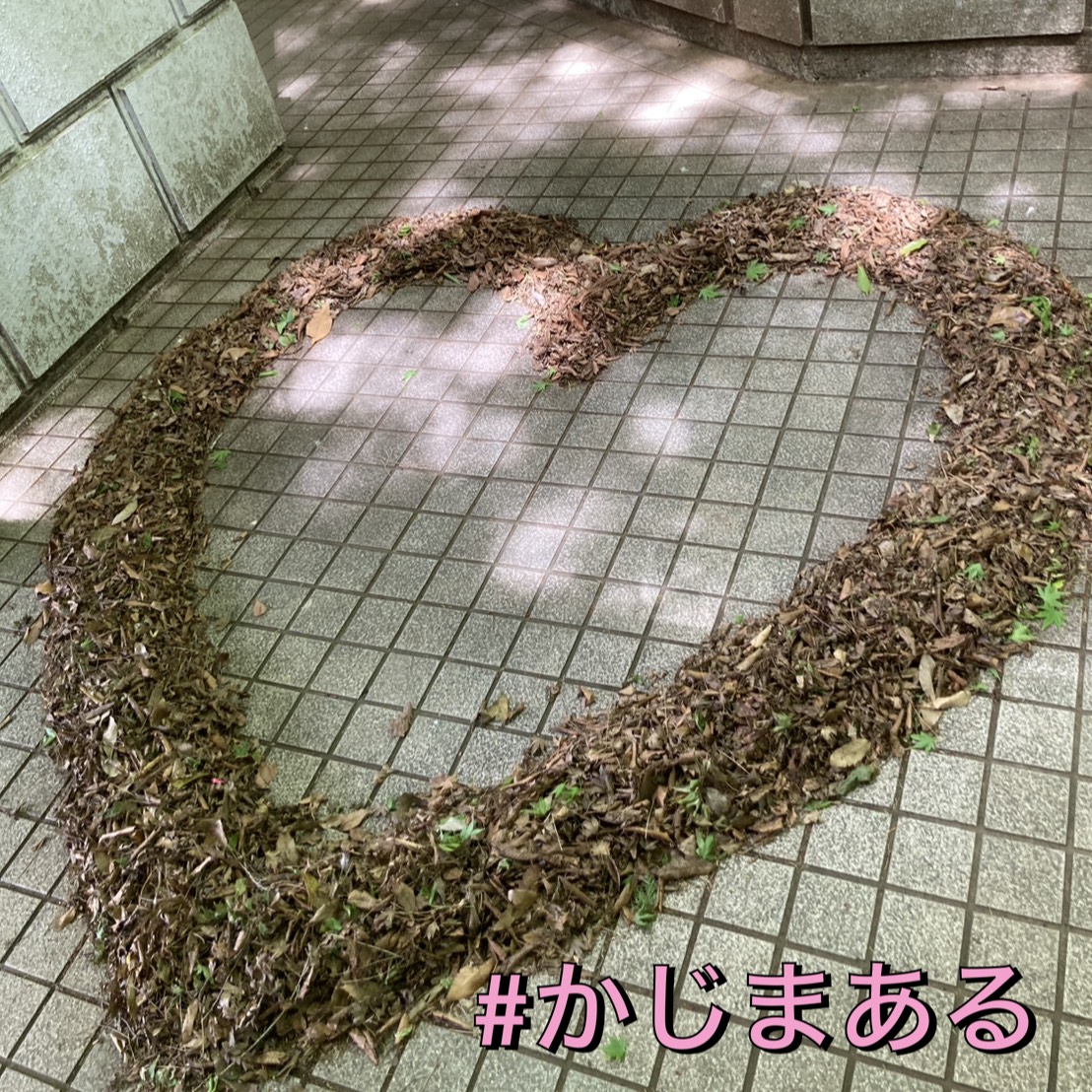 kajimaru2014's tweet photo. 大山のトイレで可愛いハートを見つけました🩷
すてきな遊び心ですね😆

自宅のトイレ掃除は家事代行にお任せ🍀

毎日使う場所だからこそ、自分では落としきれない汚れを一掃しませんか？

家事代行なら、壁や床の除菌から、便器の細部までピカピカに。

#家事代行  #かじまある #かじまあるスタッフ🐷 https://t.co/qeLwuldXfk