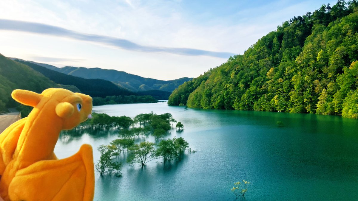 🌞とむやん🌞 tweet media