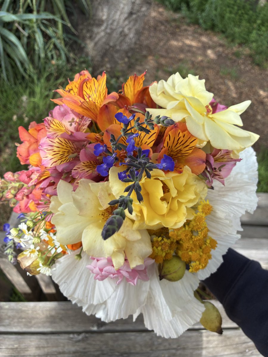 Picked these for my mom