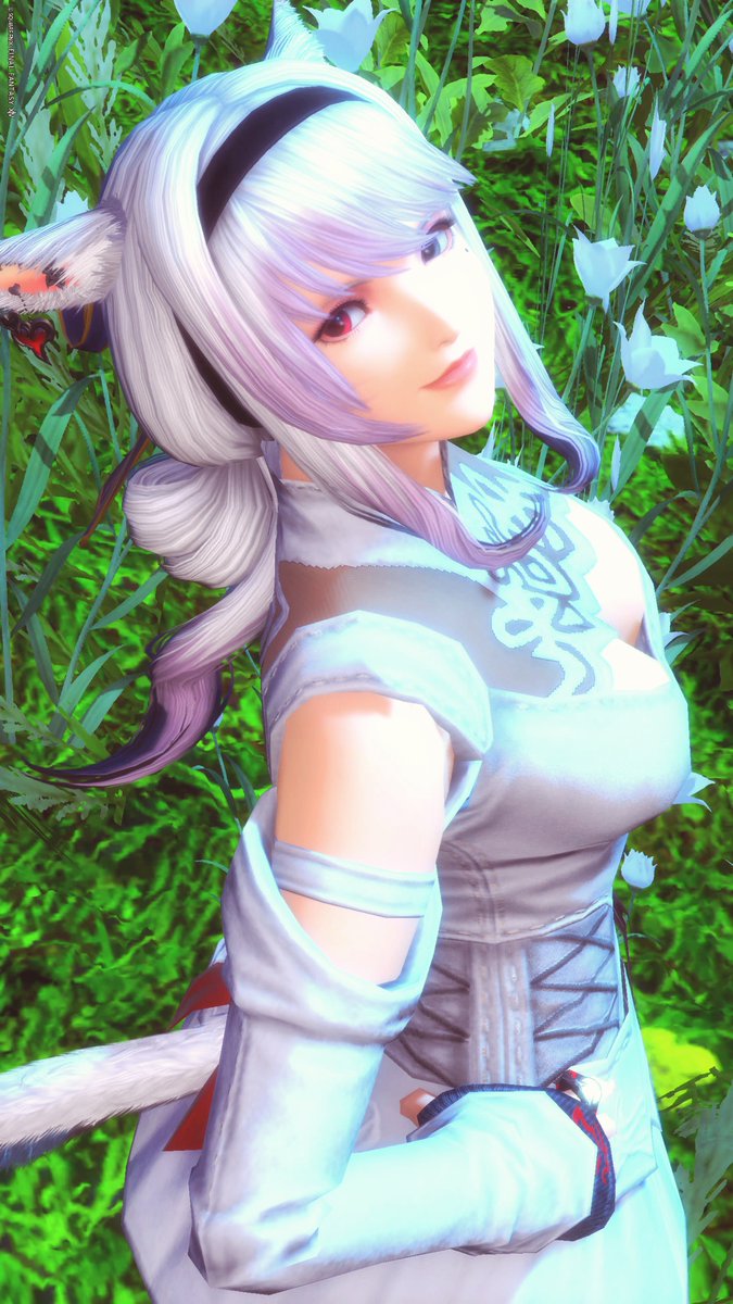 maki_Chocobo's tweet photo. おはまき〜🐾

ちょっぴしゆっくりな #おはミコ です☀️

今週もゆるふぁいでいこうね୧(˶ｰ̀֊ｰ́ )୨
#FF14 #FF14SS #おはミコ https://t.co/kuMwdHP259
