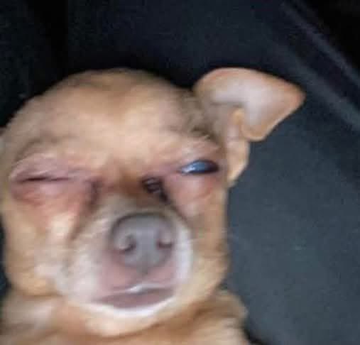 Eu de madrugada vendo Reels só com um olho, pq o outro já dormiu
