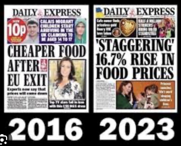 The Rejoin EU Party tweet media