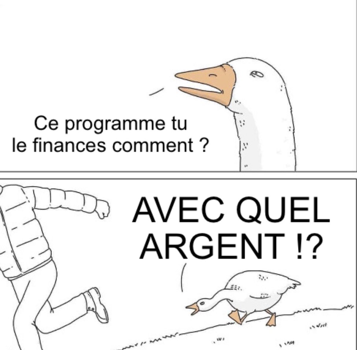 Poulpe 🐙 tweet media