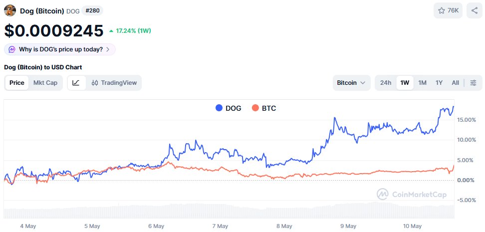 Crypto & NFT Maxi tweet media