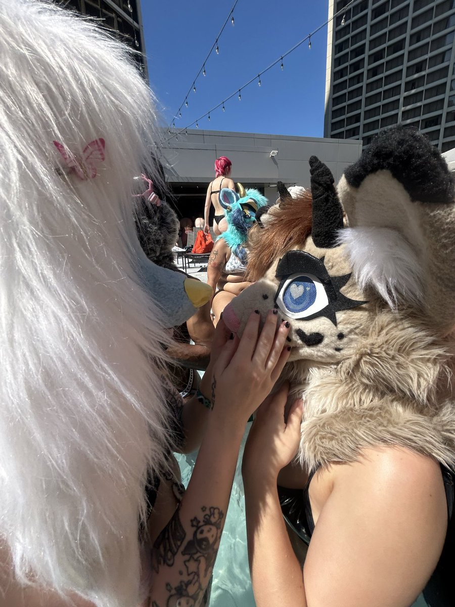 Asterfluffs tweet media