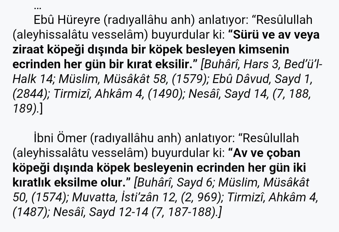 <a href="/Ismail0506/">ismail değirmenci🇹🇷</a> <a href="/Ferhat10630/">Ferhat Açıkgöz</a> <a href="/Cobanyildizi84/">Belgüzar 🇹🇷🇵🇰🇶🇦🇦🇿🇵🇸🇧🇦🇺🇿🇹🇲🇰🇿🇲🇪</a> Doğru olan bu zaten. 40 kiloluk faydasız itin sokaklarda serbest ne işi var. Şehirde ahır yasakken koyun keçi gezemezken avrupada serbest dolaşamazken Türkiyenin içinde bulunduğu durum rezilce. Peygamber uygulaması da belli. Millet şuursuzlaşmış.Tesettürlü kadın it gezdiriyor👇
