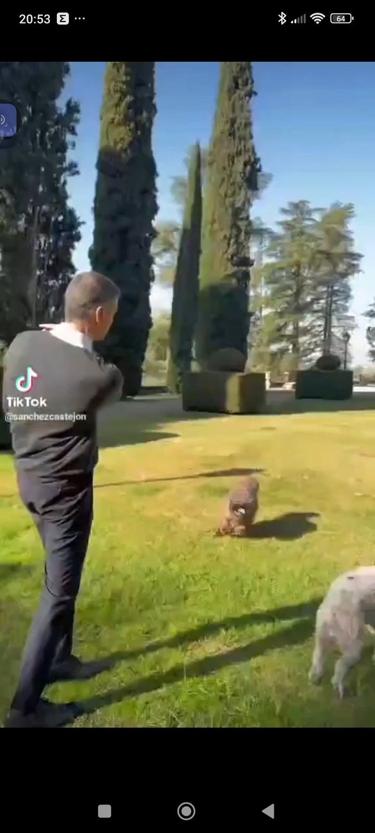 ¡Soy tu Padre! tweet media