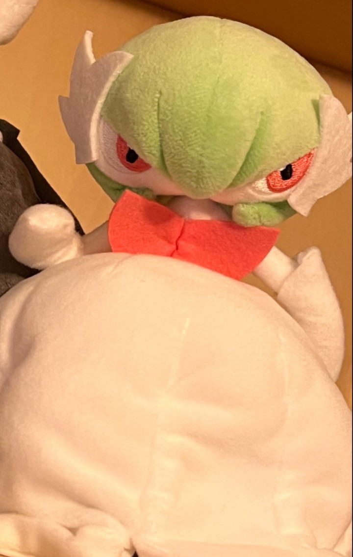 victorluffi1's tweet photo. @MelFunnySmell Could you make a Mega Gaba with this image? I think it would look funny because of the shape of the plushie. https://t.co/degTxlZk6m