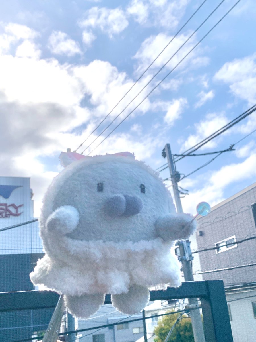 Linda Jota🧸りんだ いおた🪡通販準備中 tweet media