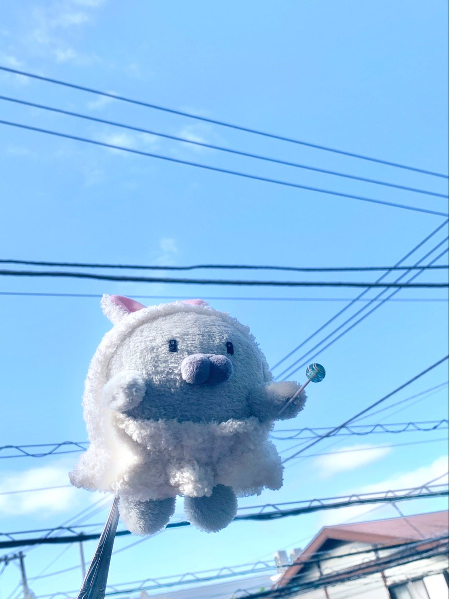 Linda Jota🧸りんだ いおた🪡通販準備中 tweet media