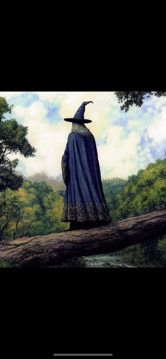 Ari tweet media