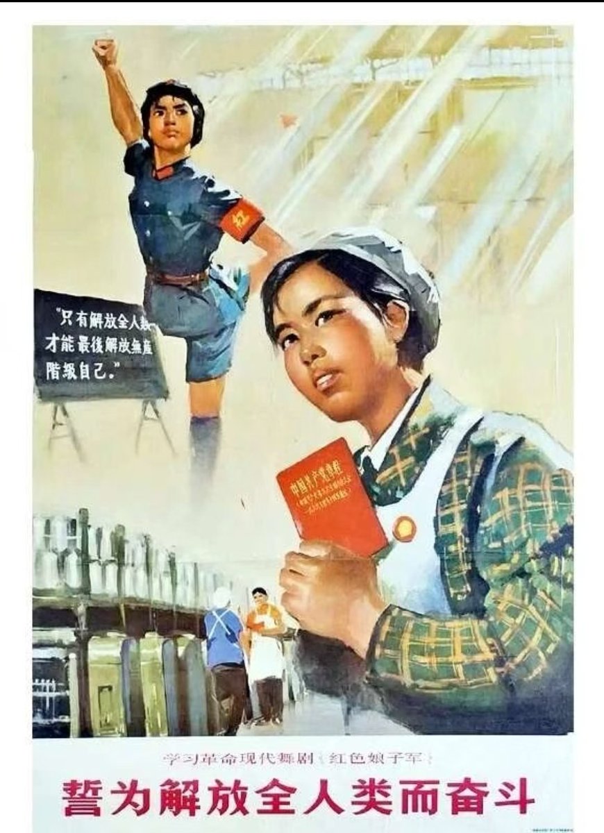 广阔天地新苗壮🇨🇳 tweet media