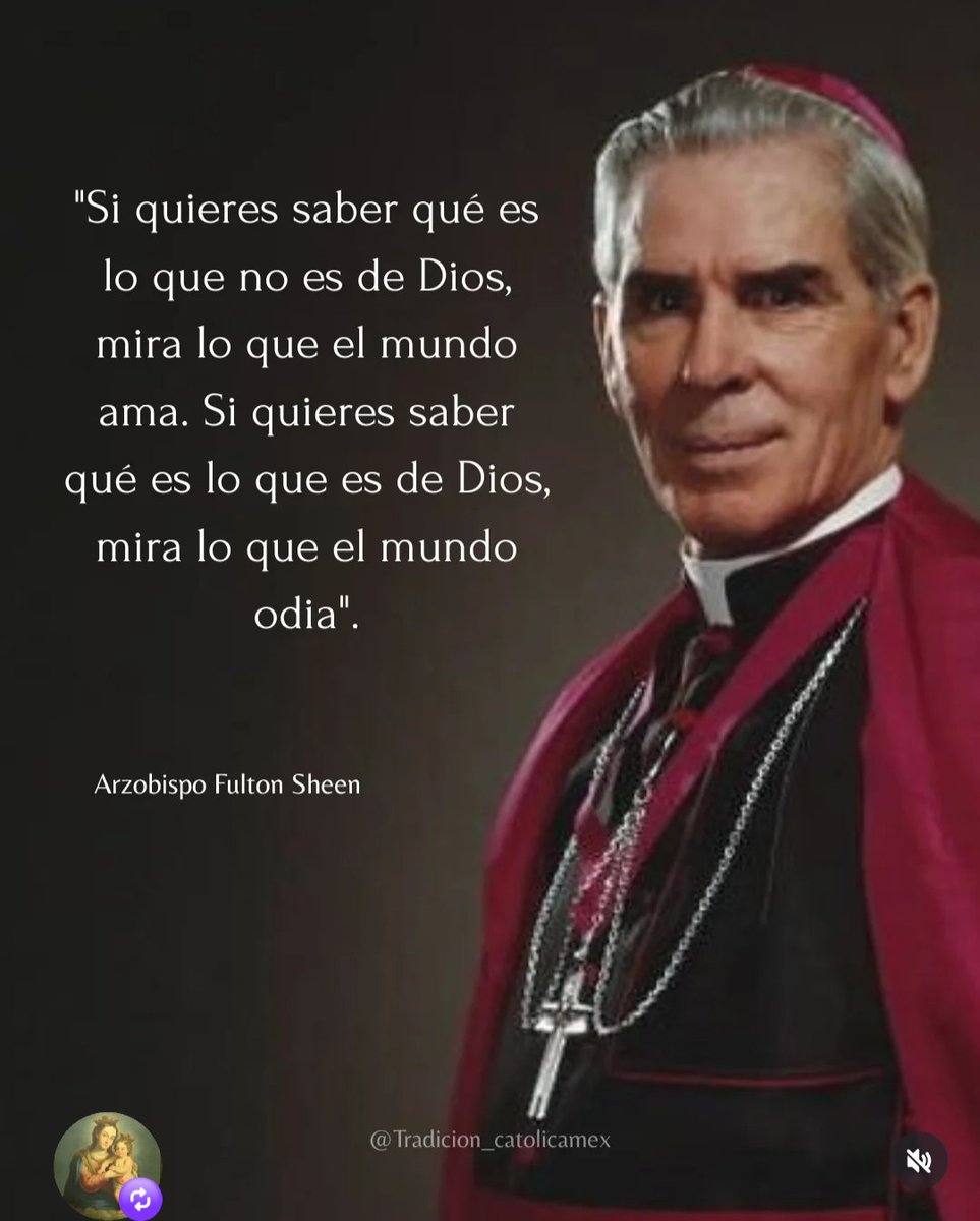 Alegria24 tweet media