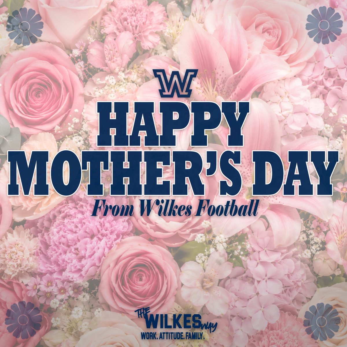Wilkes Football tweet media