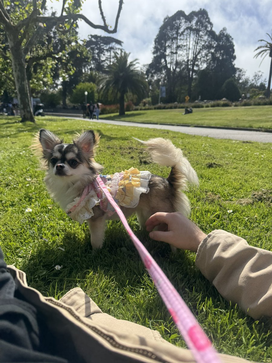 smallfishyy's tweet photo. Day with Martha at the park < 3 https://t.co/4BeyMGz3Ik