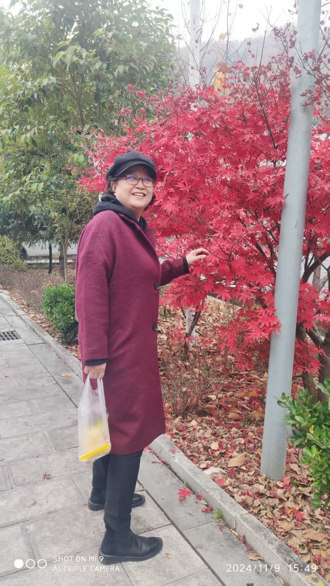 Gao Pu tweet media