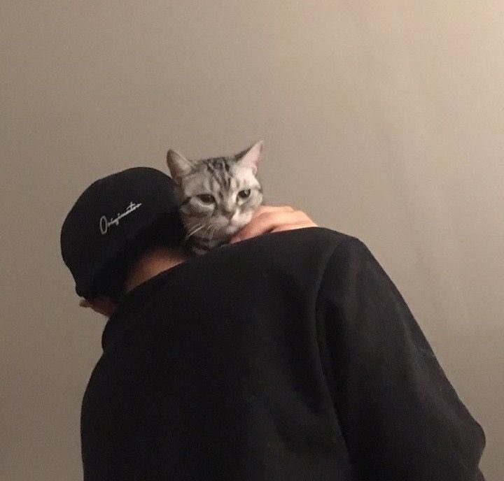 Hao. tweet media