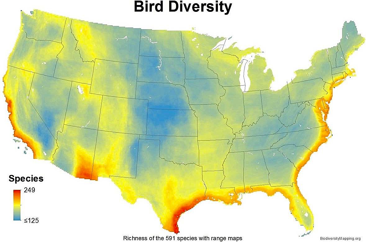 Amazing Maps tweet media
