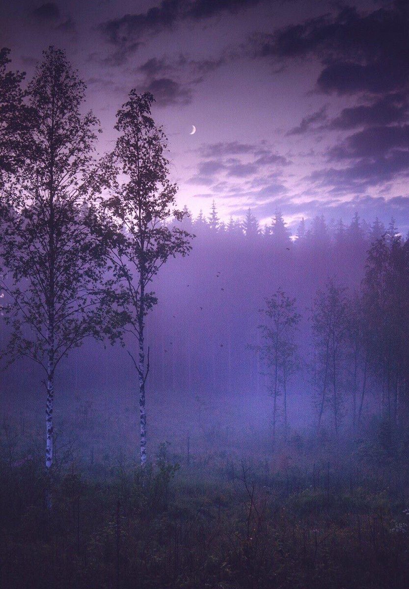 Early morning sunrise, with the mist rising, and beautiful colored sky...Argyle, Nova Scotia...💓