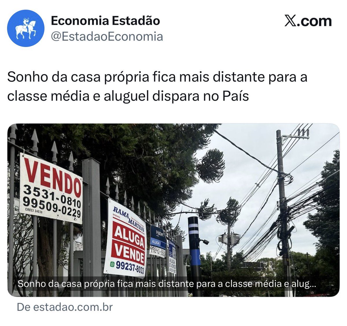 otimistaoficial tweet media