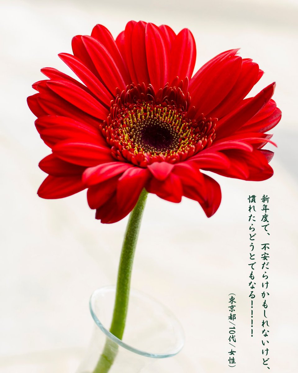 Teacher_Aide's tweet photo. 「今日の『ハナコトバ』」

週明け。
今日も、先生たちが前向きに、元気にがんばれますように🌼

(東京都/10代/女性)
(北海道/20代/男性)

より。

先生たちへ、愛を込めて🌹

5月の『ハナコトバ』投函はこちら📮
https://t.co/Jp3MNOmVVO

#先生へのハナコトバ https://t.co/BKJsynIKDH