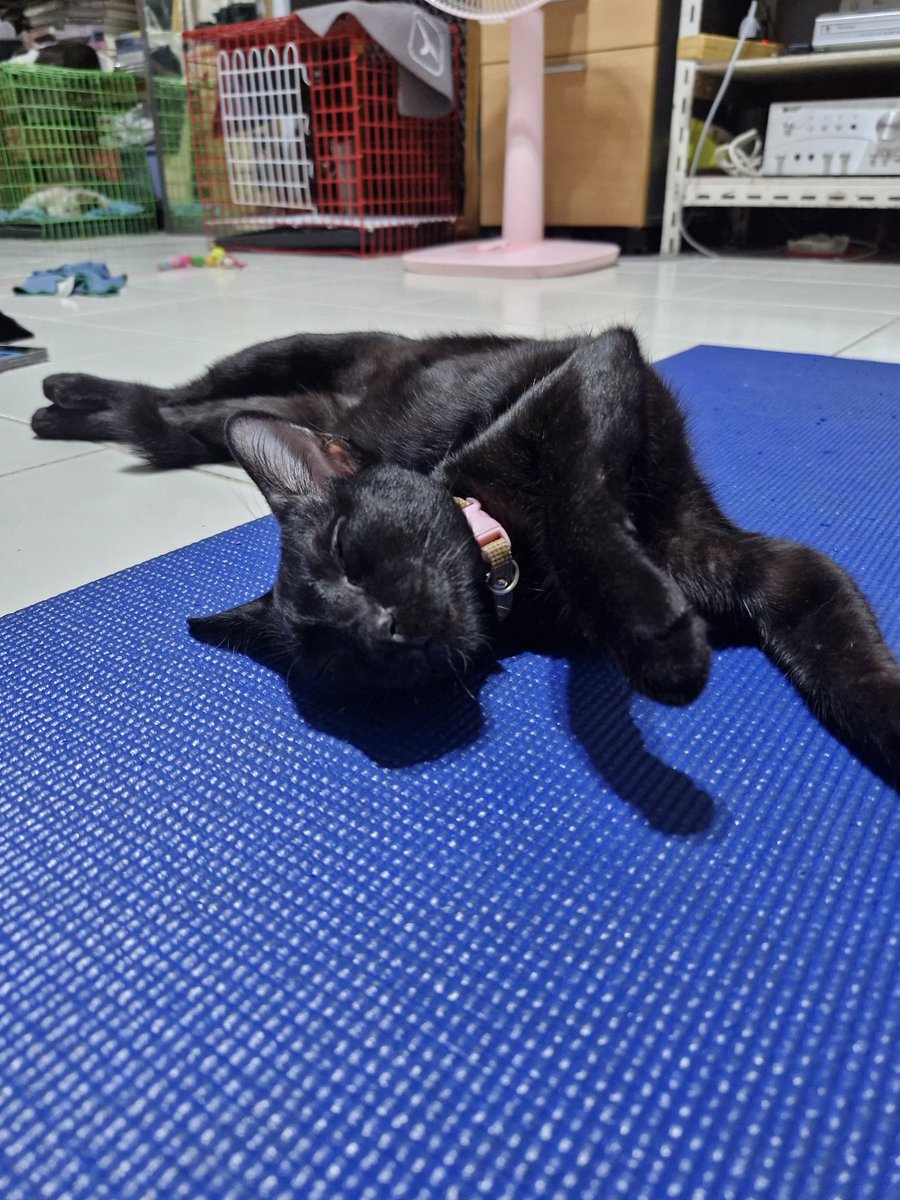 Mewnich tweet media