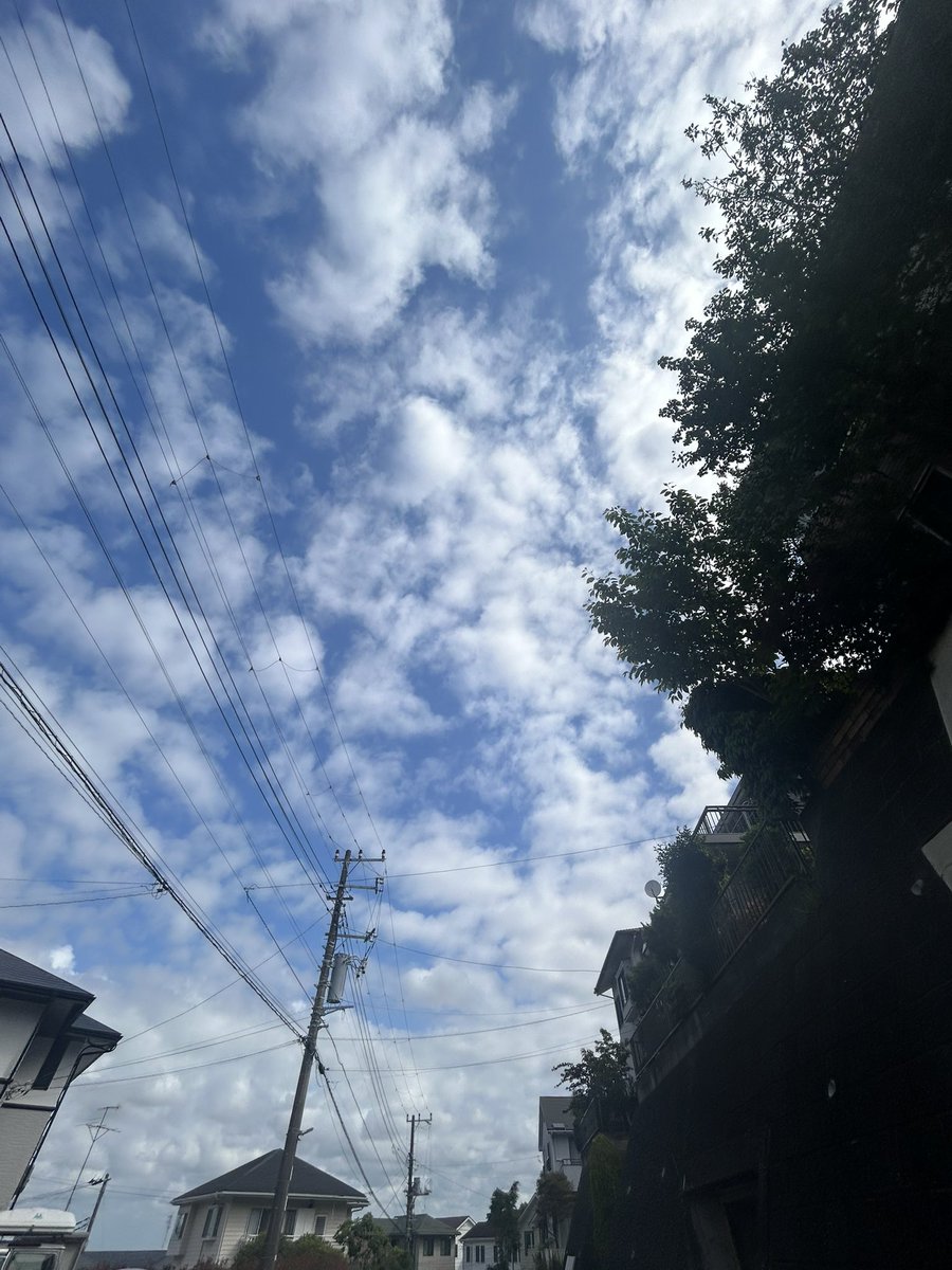 RXN わた tweet media