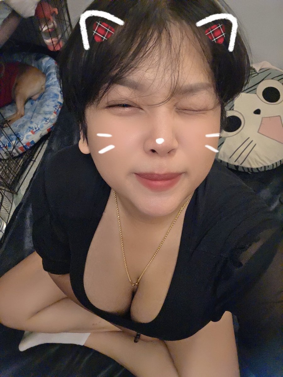 bbearpeach's tweet photo. ไม่อยากเป็นหมีแล้ว อยากเป็นแมวววว จะอ้อนนนนนน เหมี๊ยววววว~~🐱 https://t.co/cIMlfXuhfU