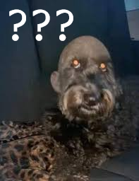 Sam_o_brabo tweet media
