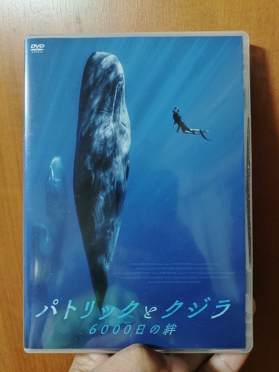 pocketlog's tweet photo. DVD「パトリックとクジラ-6000日の絆」を観た。
映画館でも観たけど購入してしまった。

クジラに接近するダイバー(パトリック）によって、その巨大さと迫力に圧倒されます。(映画館の大きなスクリーンで観た時の方がもっと圧倒された）

6000日と言う長い期間を過ごす事によって撮れた迫力の映像。公開当時はクジラとの信頼関係(絆）が出来たんだなぁって思っいたけど、ホエールスイムツアーを行なっている方に聞いたら、、、、、

パトリックってスゲーって思っいたけどホエールスイムツアーを行なっている人に話したら、、、、、だった！

来年はホエールスイムツアーをやってみようかなぁー。
ホエールスイムシーズンの海はメッチャ荒れるらしいけどね。